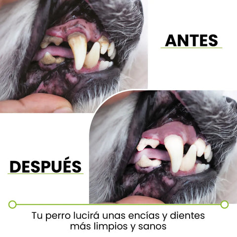 “ChewBrush: La Revolución en Cuidado Dental”  🦷 El Original, el Único, el Mejor 🦷